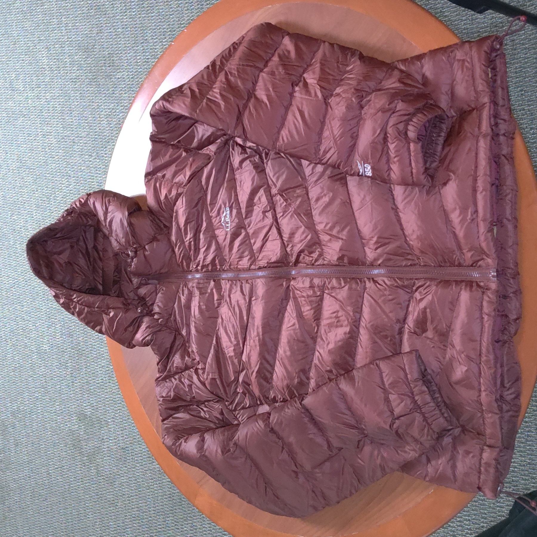 Ll Bean Ultralight Goose Down 850 Downtek Puffer Hooded Jacket Womens Size L Reg